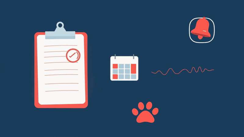 Hero illustration for: How Long Do You Have to Fix a Barking Dog Before a Fine?